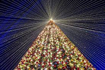 Главную елку Бишкека зажгут 15 декабря Главную елку Бишкека зажгут 15 декабря