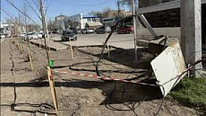 Из-за демонтажа столбов возможны перебои с интернетом. Вопрос на контроле мэрии