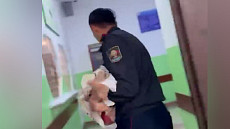 Медики рассказали о состояние ребенка, покусанного собаками