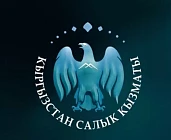 Налоговая служба Кыргызстана ответила на актуальные вопросы по страховым взносам