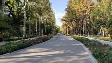В Бишкеке 28 июля будет временно закрыта Карагачевая роща в связи с проведением учений МЧС