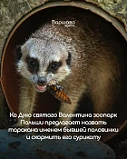 В зоопарке Польши предлагает назвать таракана именем бывших и скормить животным В зоопарке Польши предлагает назвать таракана именем бывших и скормить животным