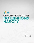 ГНС: обновляется отчет по единому налогу