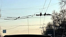 Депутат потребовал отчет о демонтированных троллейбусных линиях Бишкека
