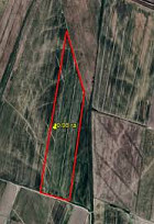 Более 26 гектаров земли, связанных с ОПГ Камчи Кольбаева, вернули государству