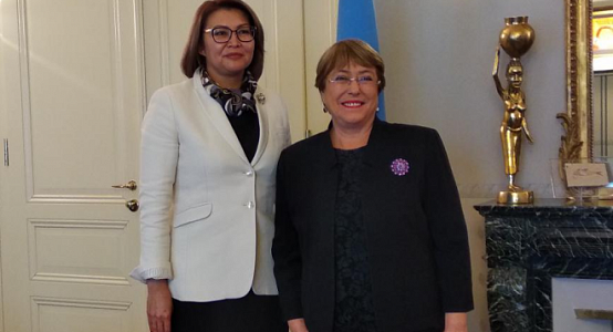 Омурбекова и Верховный комиссар ООН по правам человека обсудили вопросы достижения гендерного равенства