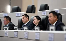 Комитет Жогорку Кенеша рассмотрел законопроект о земельных участках для инвестиционных проектов в первом чтении