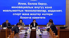 Комитет Жогорку Кенеша одобрил изменения в закон о физкультуре и спорте в первом чтении