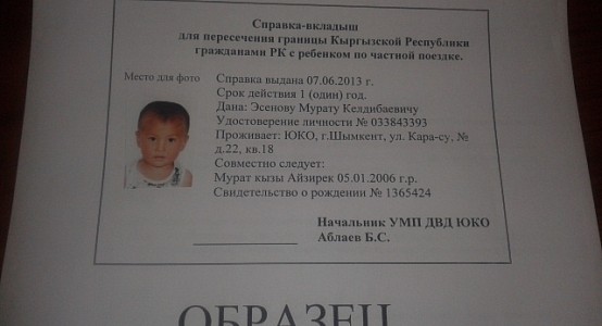 Справка о гражданстве для ребенка. Вкладыш о гражданстве для ребенка. Вкладыш о гражданстве Киргизии для ребенка. Вкладыш для ребёнка документ Кыргызстан.