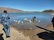 В Орто-Токойское водохранилище выпустили 1,2 млн мальков сиг лудога