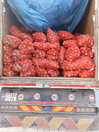 В Кыргызстан не пропустили 25 тонн лука из Казахстана