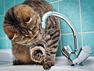 16 апреля в некоторых районах столицы временно не будет питьевой воды