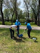 В КР выросло количество трудоустроенных на оплачиваемые общественные работы