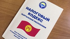 Налоговая служба за период с августа по октябрь 2024 г