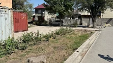 На территории Кыргызского национального университета культуры выявлен факт незаконной вырубки деревьев