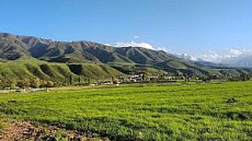 В ГУВД Чуйской области сообщили подробности драки в Институте курортологии в Таш-Добо