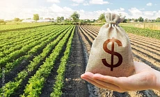 В Кыргызстане начали выдавать льготные кредиты на внедрение водосберегающих технологий