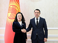 Торага ЖК КР Марлен Маматалиев принял посла Китая Лю Цзянпин